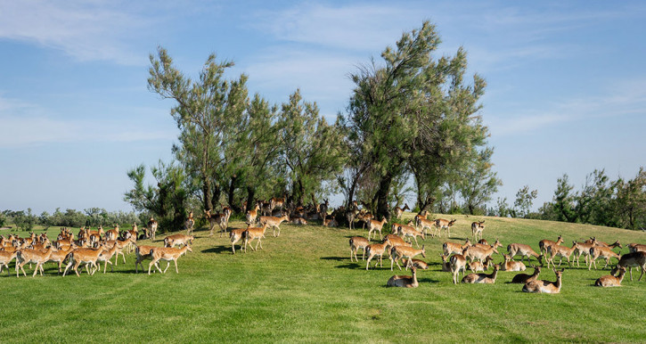 sostenibilita3-725x386